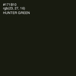 #171B10 - Hunter Green Color Image